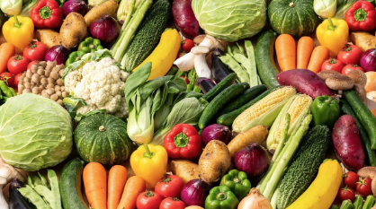 【四季報オンライン執筆】業績低迷から大幅増収増益へ､カット野菜専業の注目銘柄